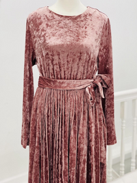 Shiza Velvet Pink Dress
