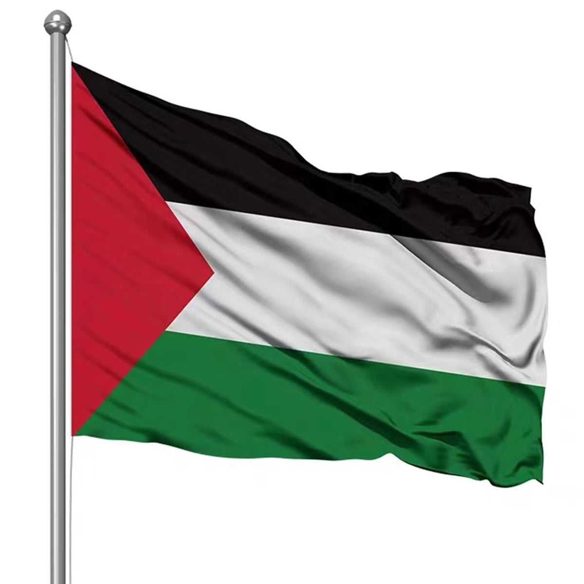 Palestine Flag S